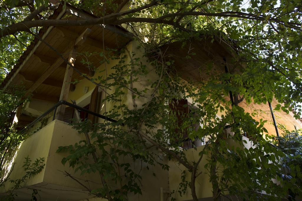 Staggia Studios Sami (Kefalonia) Exterior foto