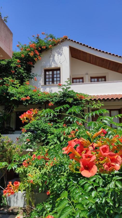 Staggia Studios Sami (Kefalonia) Exterior foto