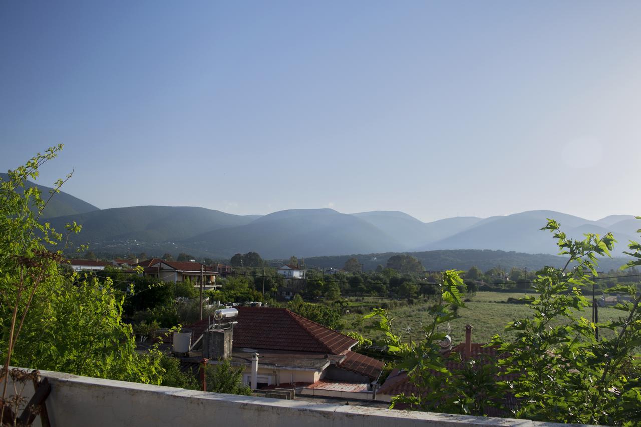 Staggia Studios Sami (Kefalonia) Exterior foto